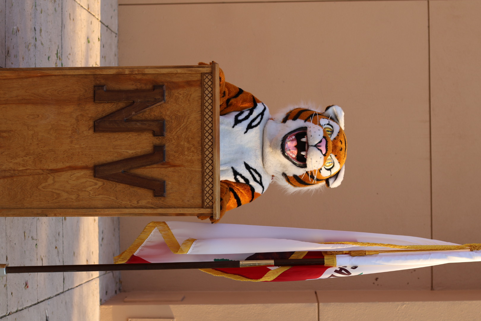 test tiger